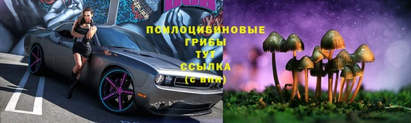 винт Алексеевка