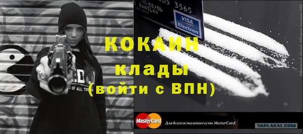 apvp Алексин