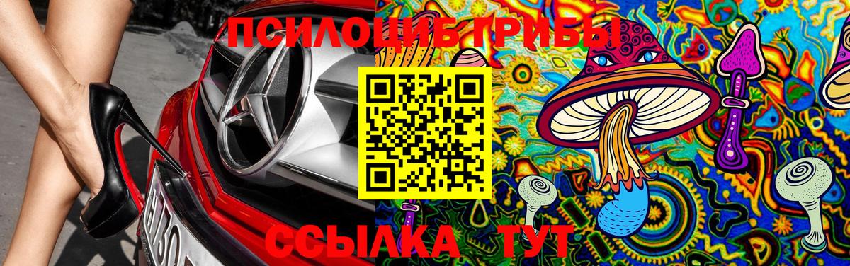Галлюциногенные грибы Psilocybe Анапа