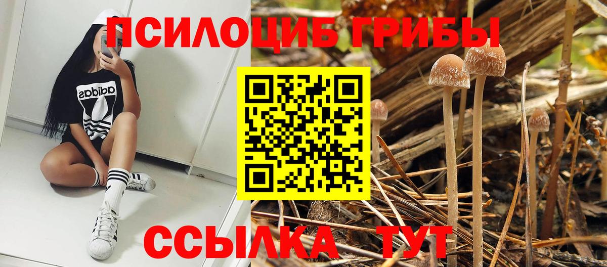 Анапа  где можно купить наркотик  Вход с VPN  Псилоцибиновые грибы GOLDEN TEACHER 