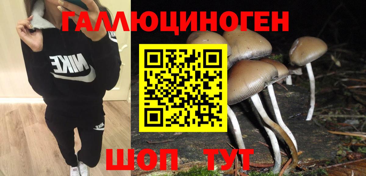 Псилоцибиновые грибы MAGIC MUSHROOMS Анапа