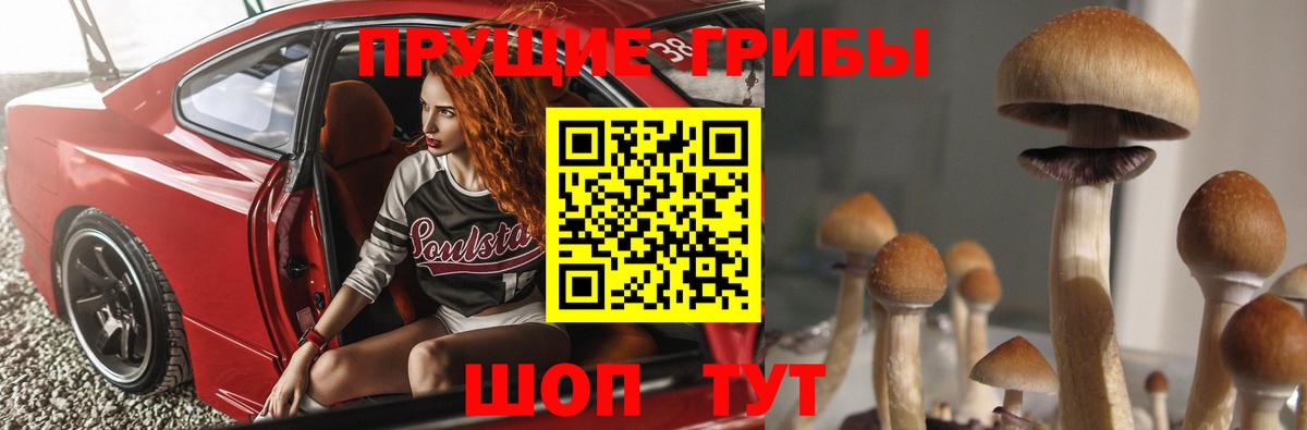 Галлюциногенные грибы Magic Shrooms  цены   Анапа  Галлюциногенные грибы Psilocybine cubensis  Вход с VPN 
